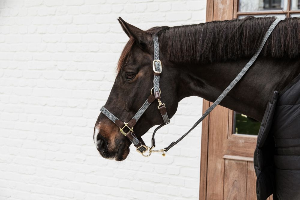 KENTUCKY® HORSEWEAR geflochtener Nylon Führstrick
