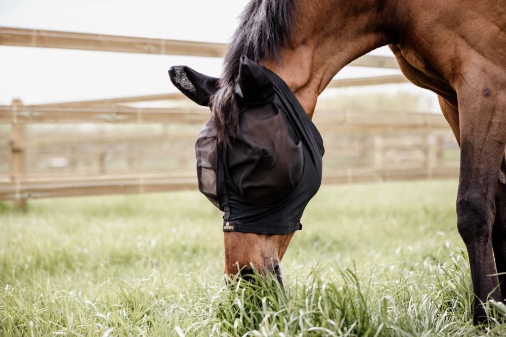 KENTUCKY® HORSEWEAR Fliegenmaske Slim Fit