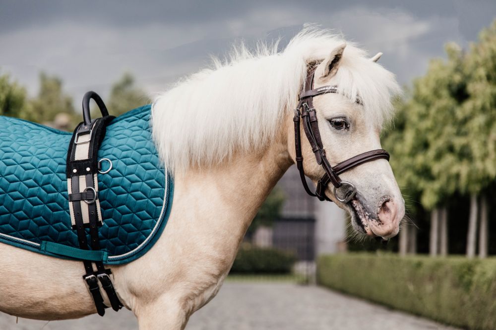 KENTUCKY® HORSEWEAR Pony-Schabracke Velvet Springen, smaragdgrün