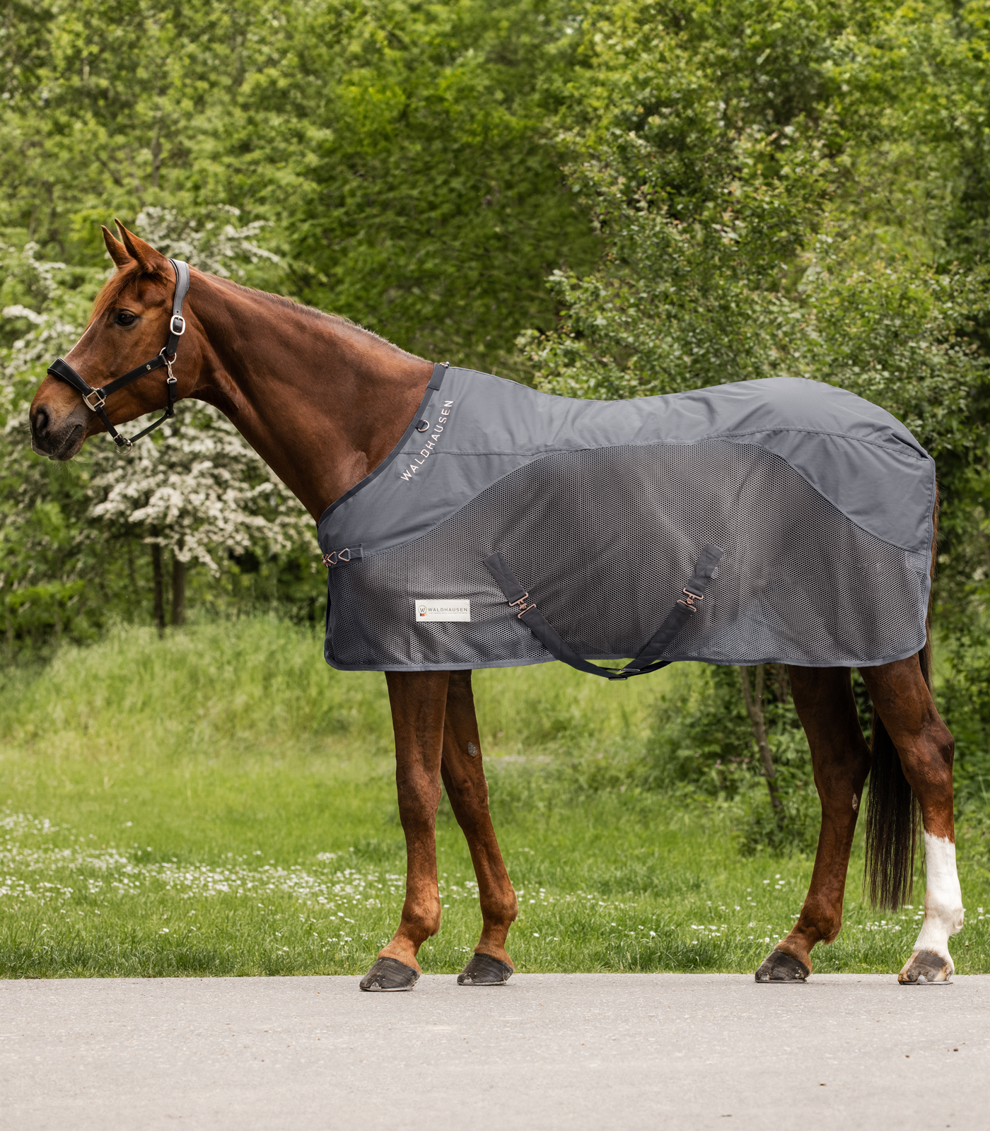WALDHAUSEN COMFORT Regen-Fliegendecke, grau