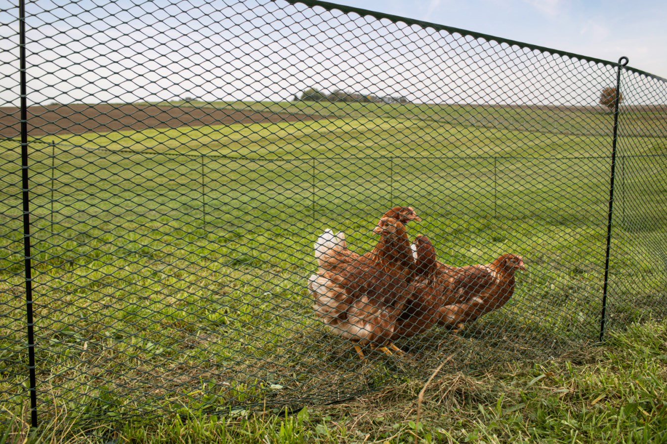 KERBL Universalzaun MultiFence
