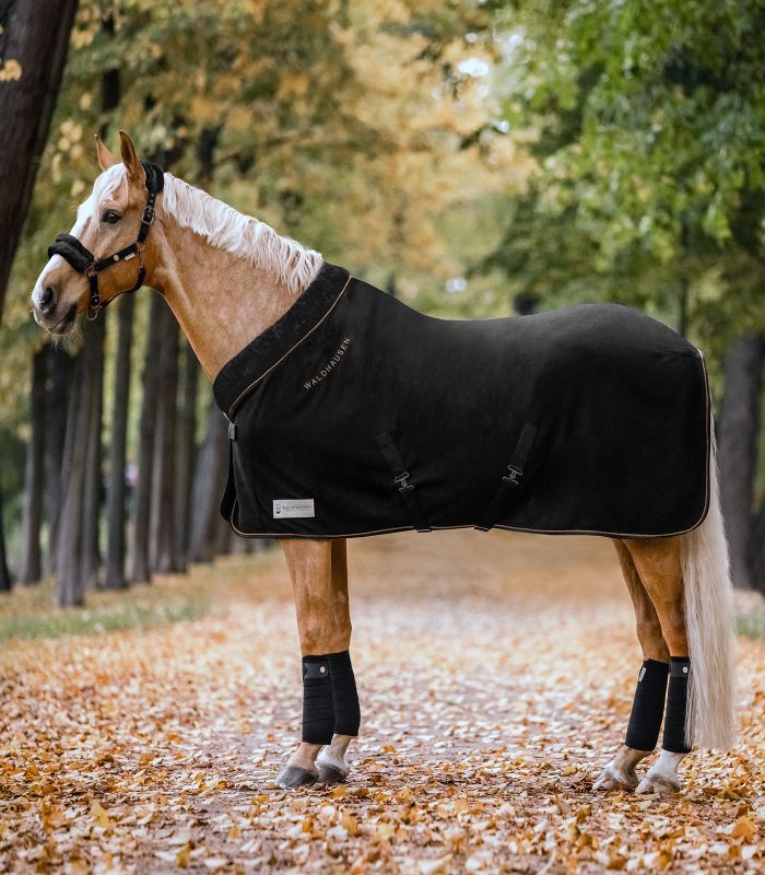 Ein Palomino-Pferd trägt die schwarze Waldhausen Fleecedecke Modern Ros mit roségoldener Kordel in einer Herbstallee.