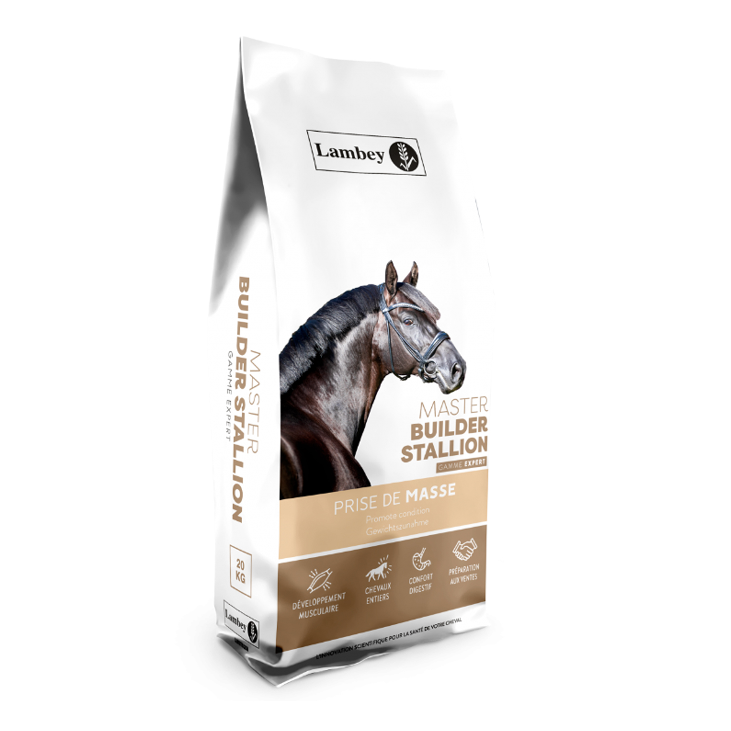 LAMBEY MASTER STALLION