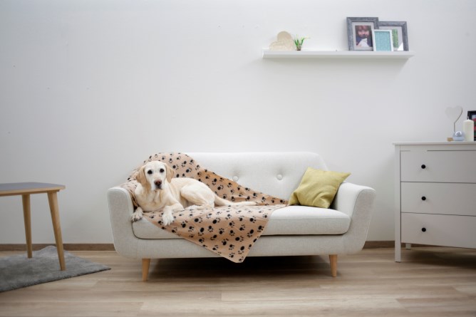 KERBL Hundedecke Stella 140x100cm beige mit Pfoten
