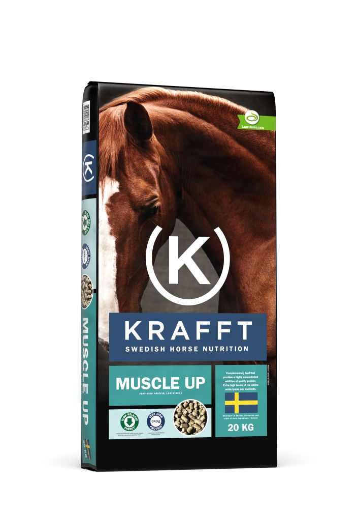 KRAFFT MUSCLE UP