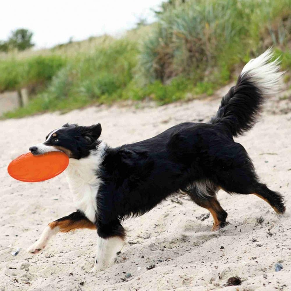 TRIXIE Dog Disc aus thermoplastischem Gummi (TPR), schwimmend
