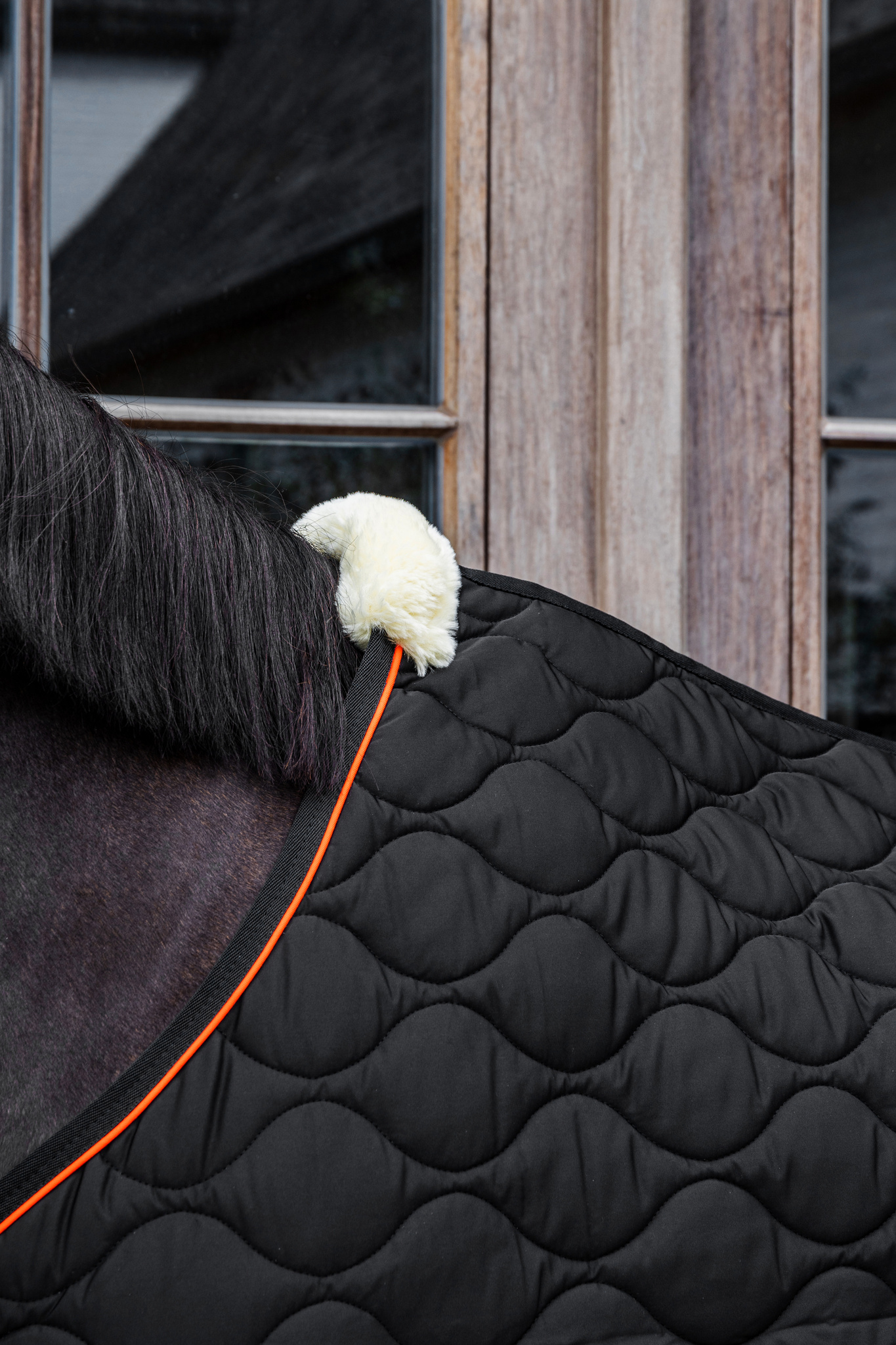 KENTUCKY® HORSEWEAR Stalldecke Wave 160g, schwarz Detail der schwarzen Stalldecke Wave mit Wellensteppung, oranger Paspel und weichem, weißem Widerristpolster.