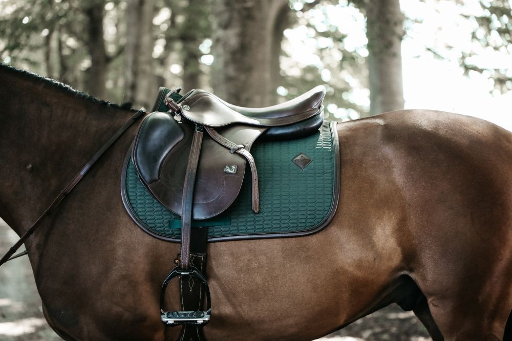 KENTUCKY® HORSEWEAR Schabracke Color Edition Leder Springen, olive-grün