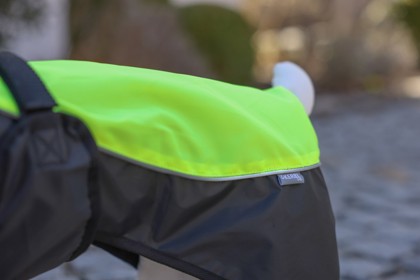 Kerbl Hundemantel Malm in Neongrün und Schwarz. Detailansicht des Rückenteils mit Reflektorstreifen am Hund getragen.