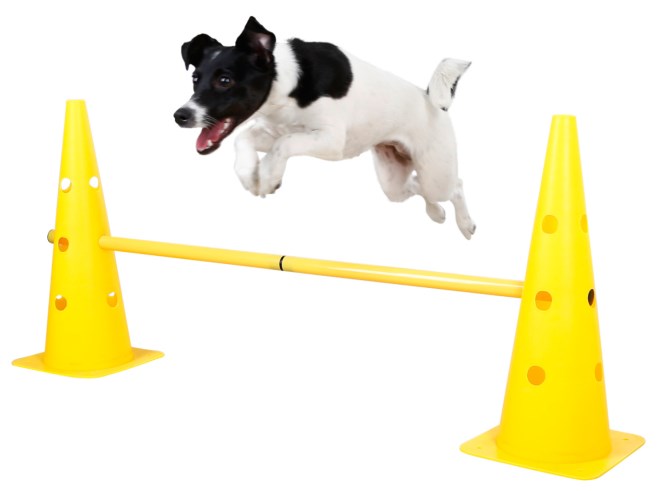 KERBL Agility Pylonen-Hürden Set, gelb, 3 Hürden