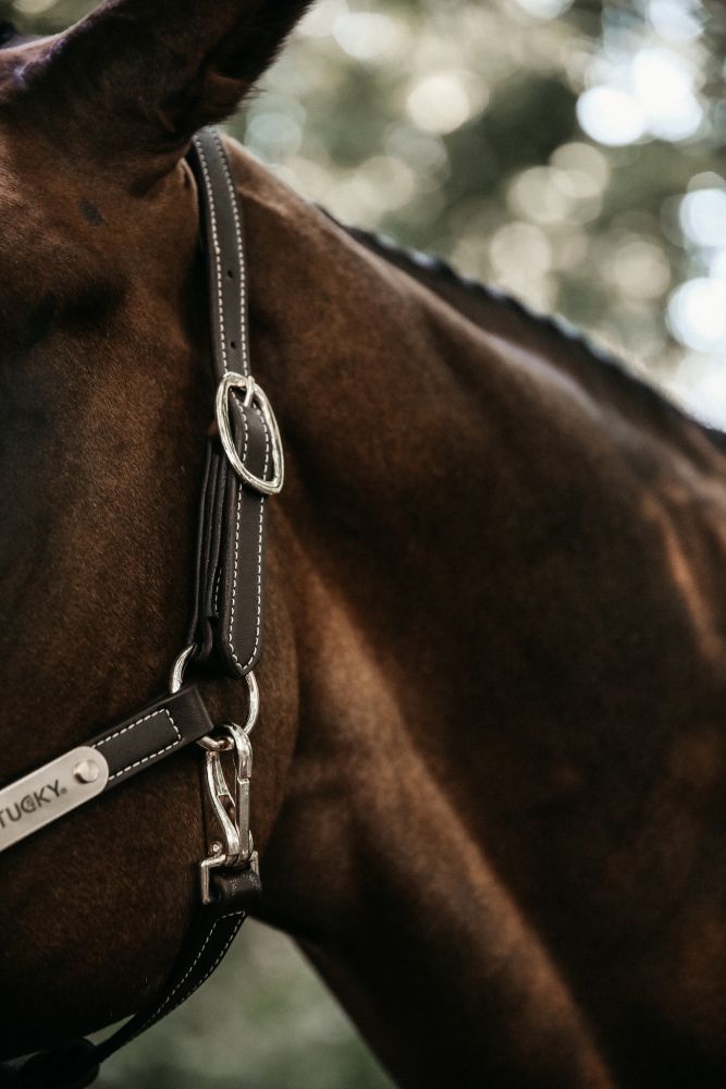 KENTUCKY® HORSEWEAR Lederhalfter flexibel