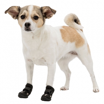 Pfotenschutzschuhe Walker Active