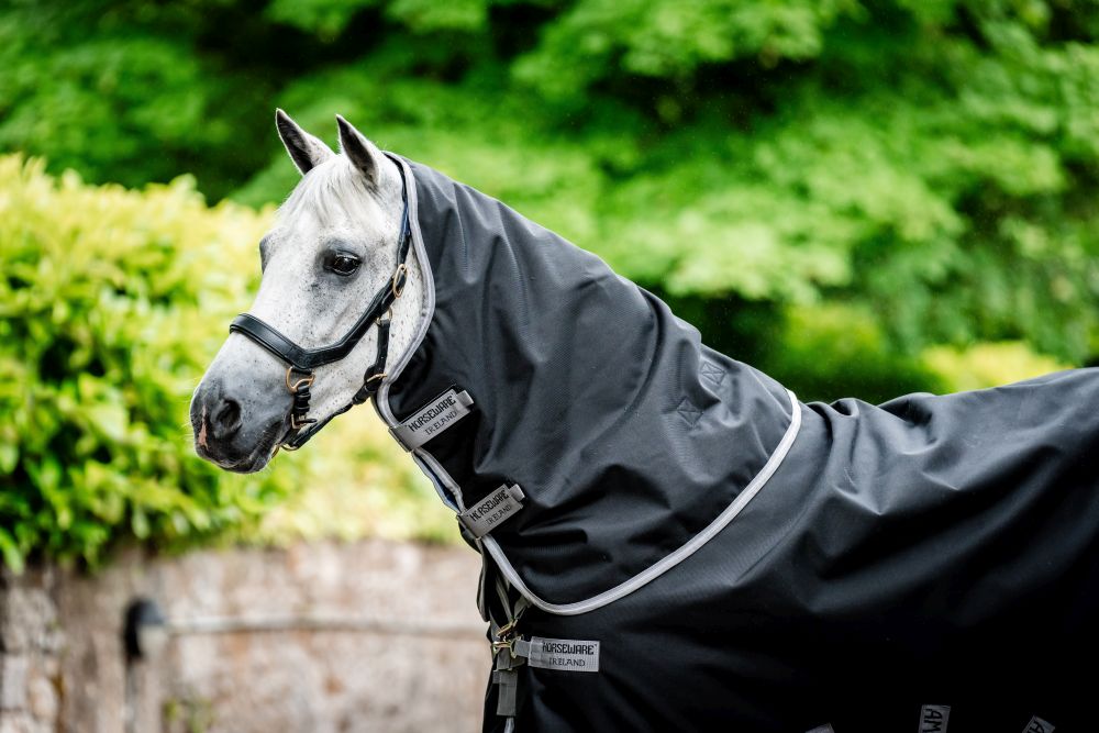 HORSEWARE® Amigo® Bravo 12 Hood, 0 g, black/titanium 