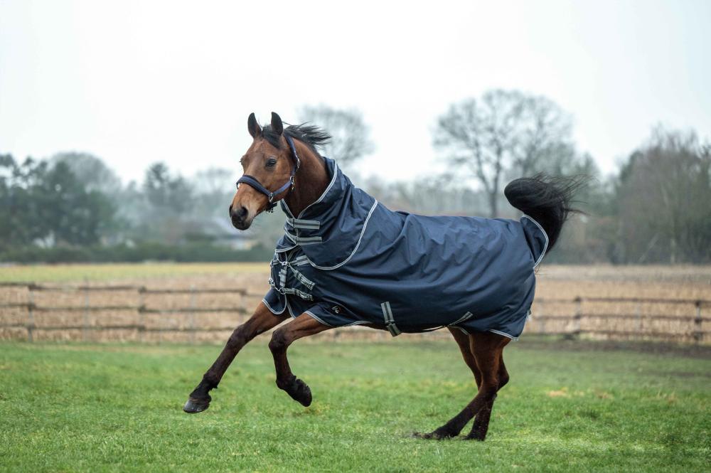 Braunes Pferd galoppiert auf einer Koppel und trägt die dunkelblaue HKM Weidedecke ThermoPro mit Halsteil.
