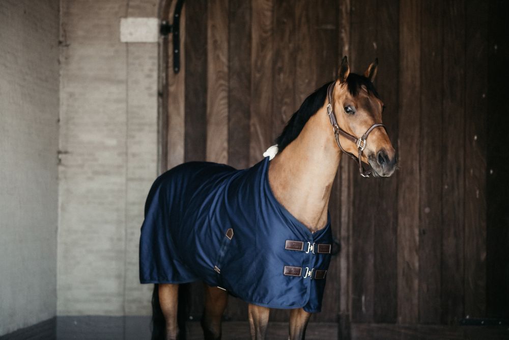KENTUCKY® HORSEWEAR Allrounddecke Cotton Sheet, marine
