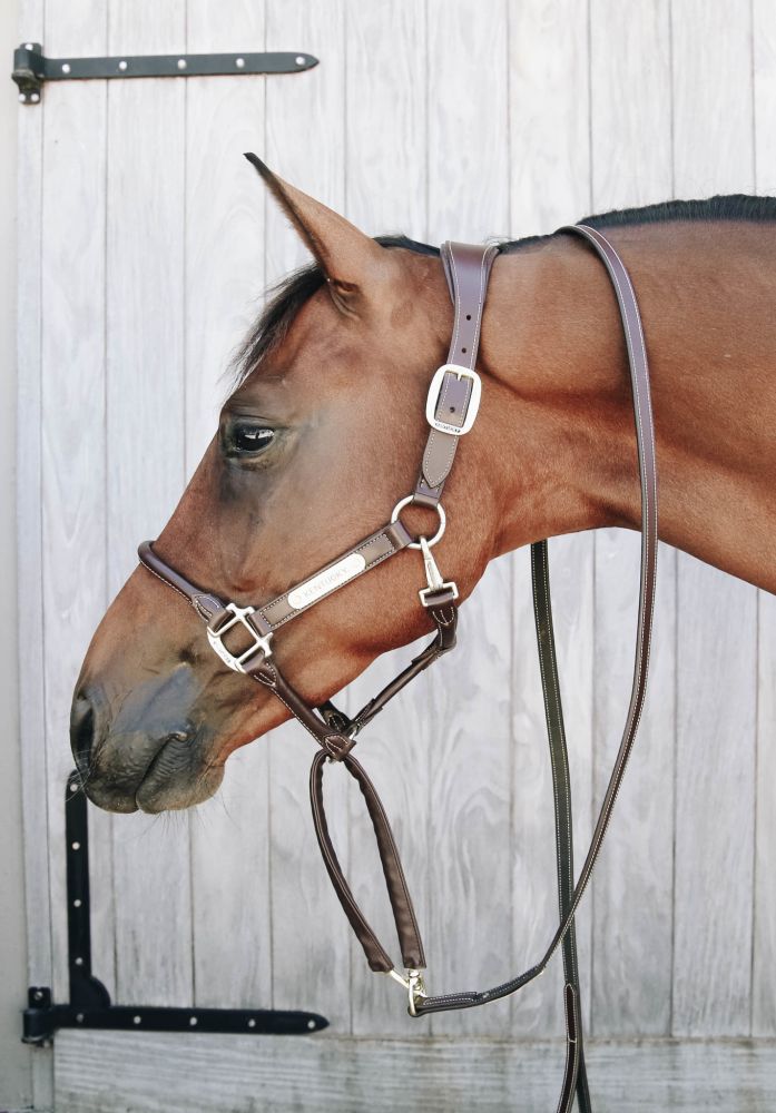 KENTUCKY® HORSEWEAR Führleine