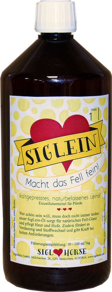 SIGLHORSE SIGLEIN