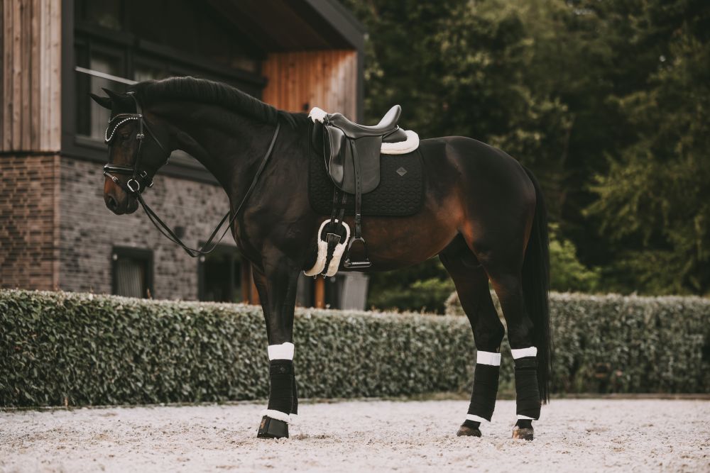 KENTUCKY® HORSEWEAR Bandagierunterlagen Absorb 4er-Set, 45 x 40 cm, weiß/schwarz