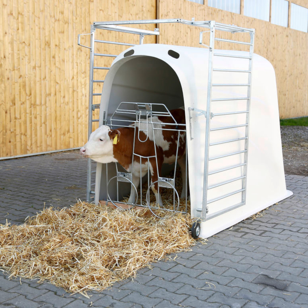 Umzäunung für CalfHouse Premium Plus und CalfHouse Master Plus