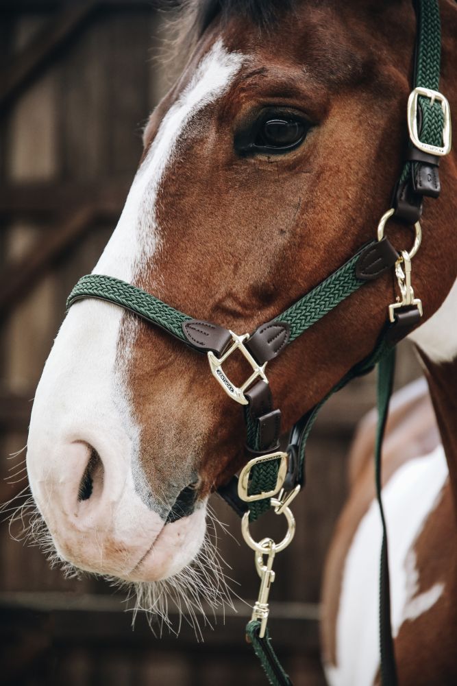 KENTUCKY® HORSEWEAR geflochtenes Nylon Halfter, olivgrün