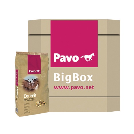 PAVO Cerevit BigBox
