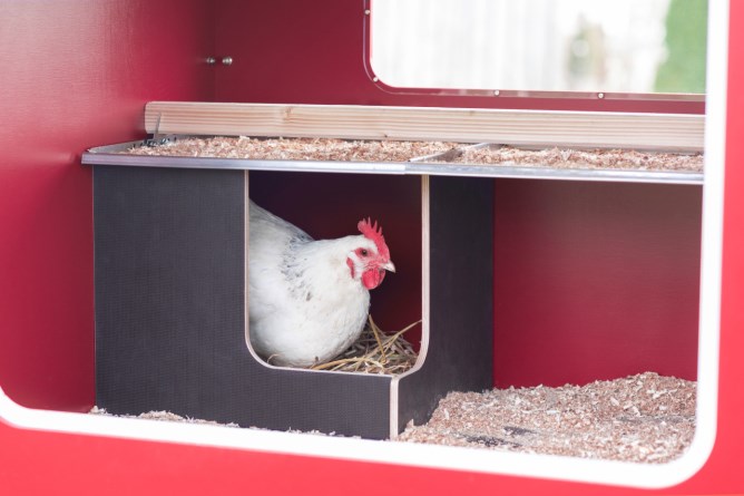 KERBL Mobile Coop aus Holz