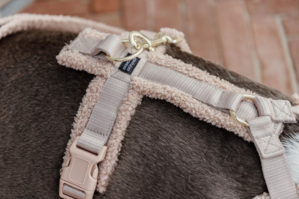 KENTUCKY® DOGWEAR Hundegeschirr Aktiv aus Teddyfleece, beige