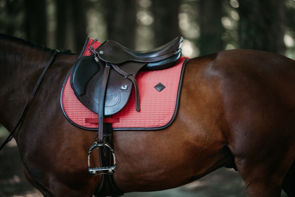KENTUCKY® HORSEWEAR Schabracke Color Edition Leder Springen, koralle