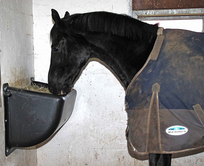 GÖBEL Heu Spender "Slow Feeder" mit Fressgitter Schwarzer Heu Spender als Slow Feeder an der Stallwand, aus dem ein eingedecktes Pferd langsam frisst.
