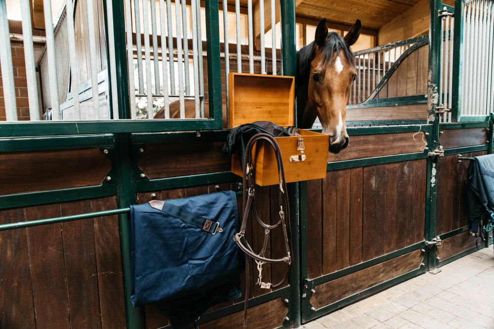 KENTUCKY® GROOMING DELUXE Stall Tack Box