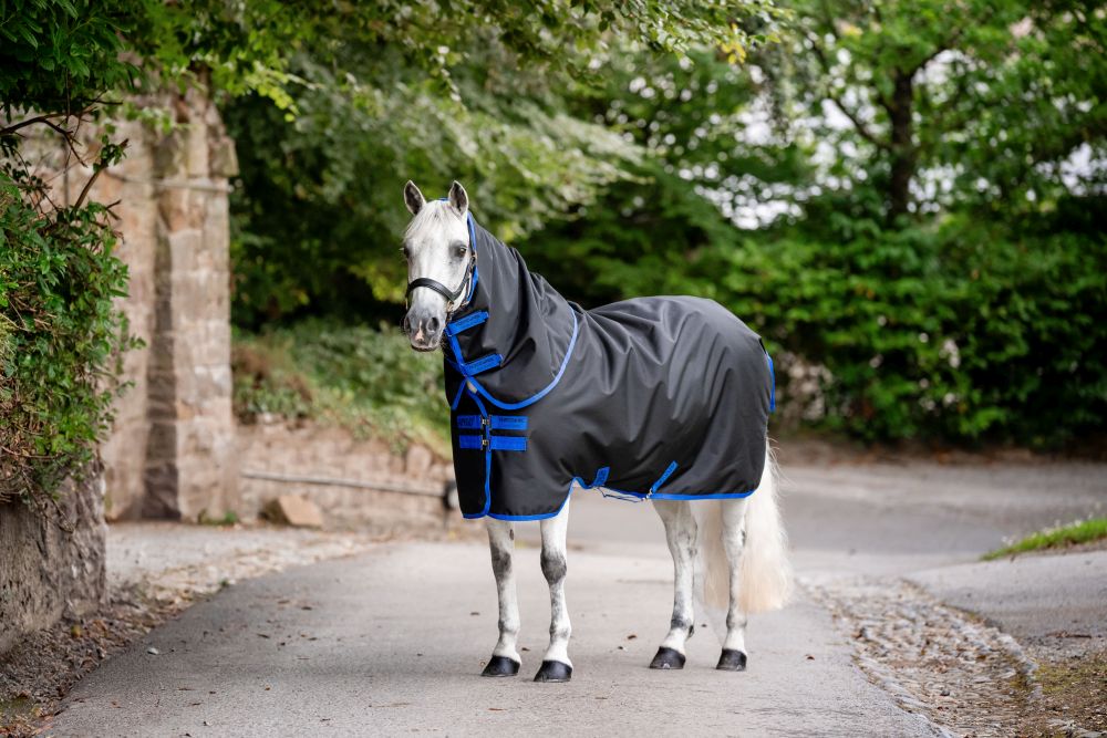 HORSEWARE® Amigo® Ripstop 900 Plus, 100 g, back/classic blue
