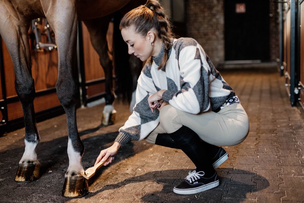 KENTUCKY® GROOMING DELUXE Hoof Pick