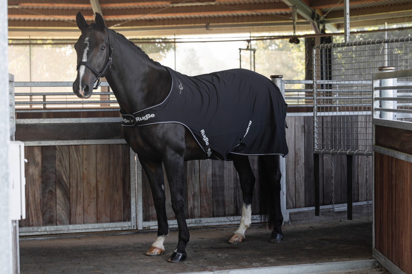 Ein dunkles Pferd trägt die schwarze Führanlagendecke RugBe mit weißer Paspelierung in einer Führanlage.