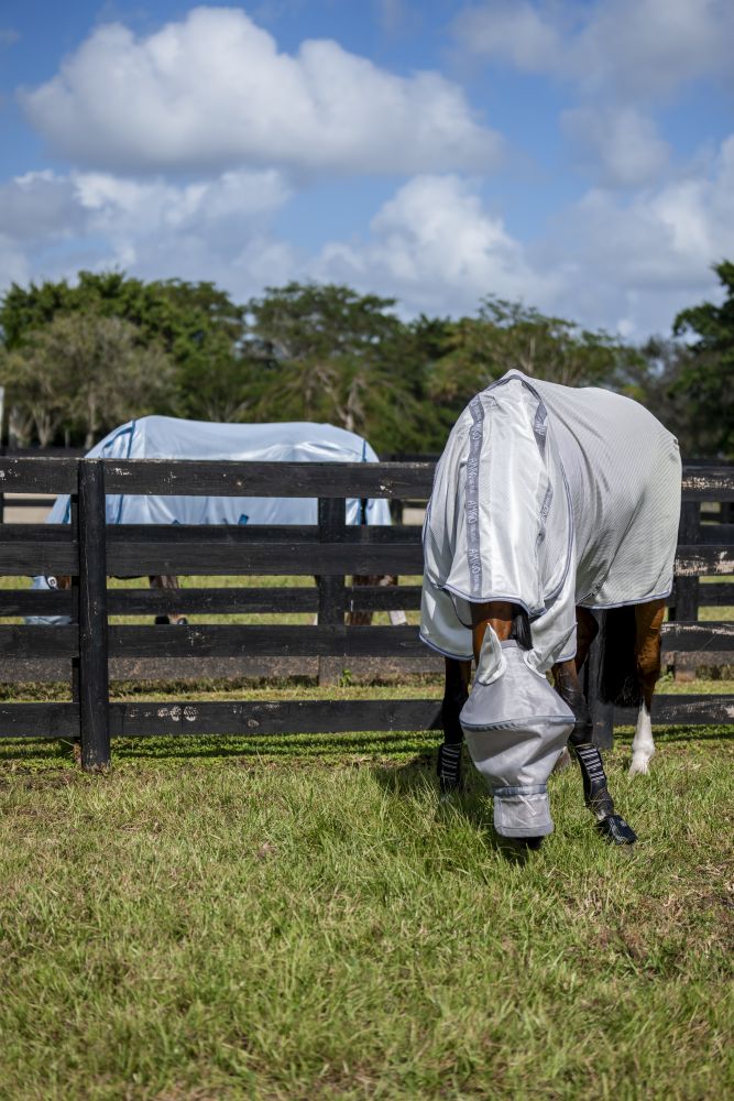 HORSEWARE® Rambo® Flymask, silver/titanium