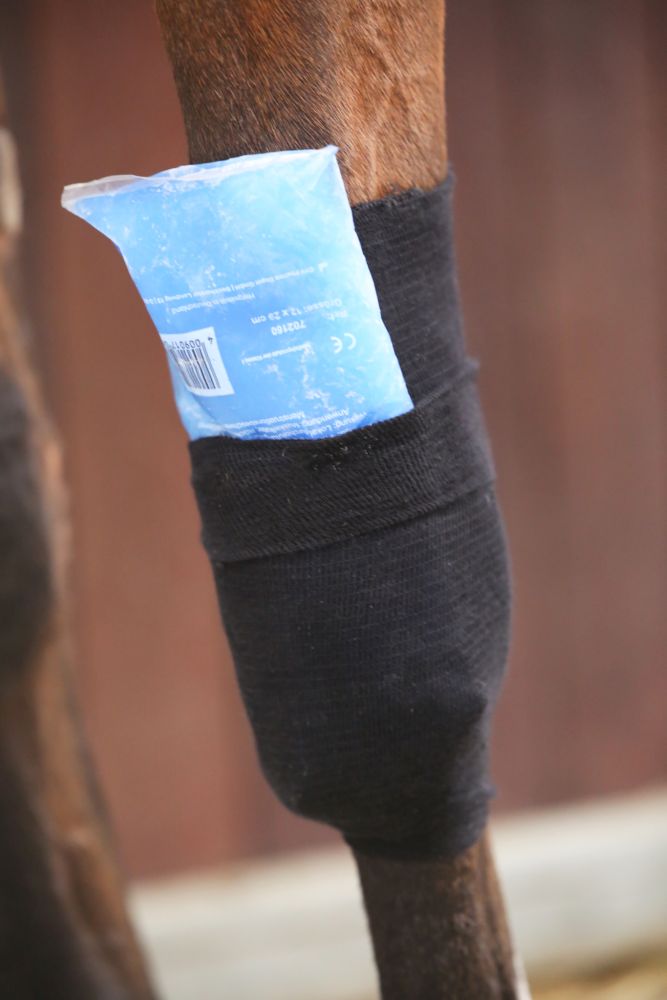 KENTUCKY® HORSEWEAR Tenton Grip Bandagenstrumpf, schwarz