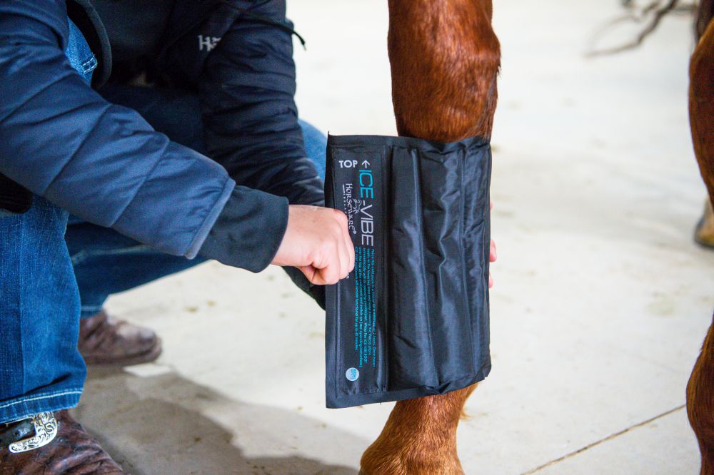 HORSEWARE® Ice-Vibe® Cold Packs, 2er Pack