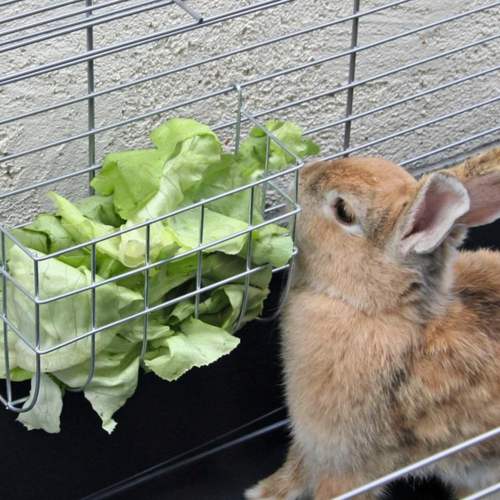 KERBL Kaninchen-Heuhaufe zum Einhängen