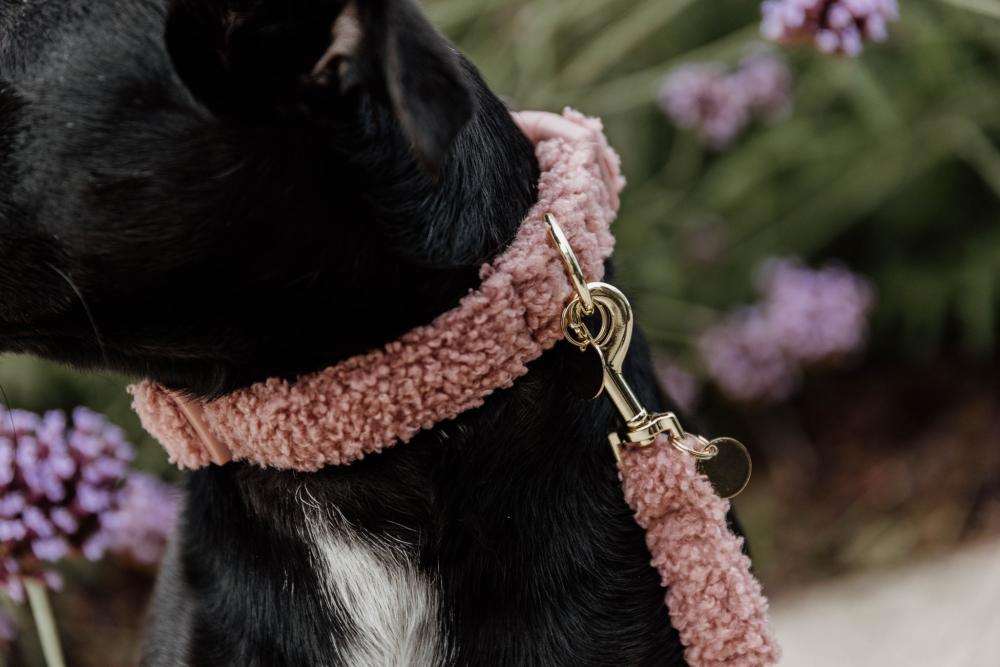 KENTUCKY® DOGWEAR Hundehalsband aus Teddyfleece, altrosa
