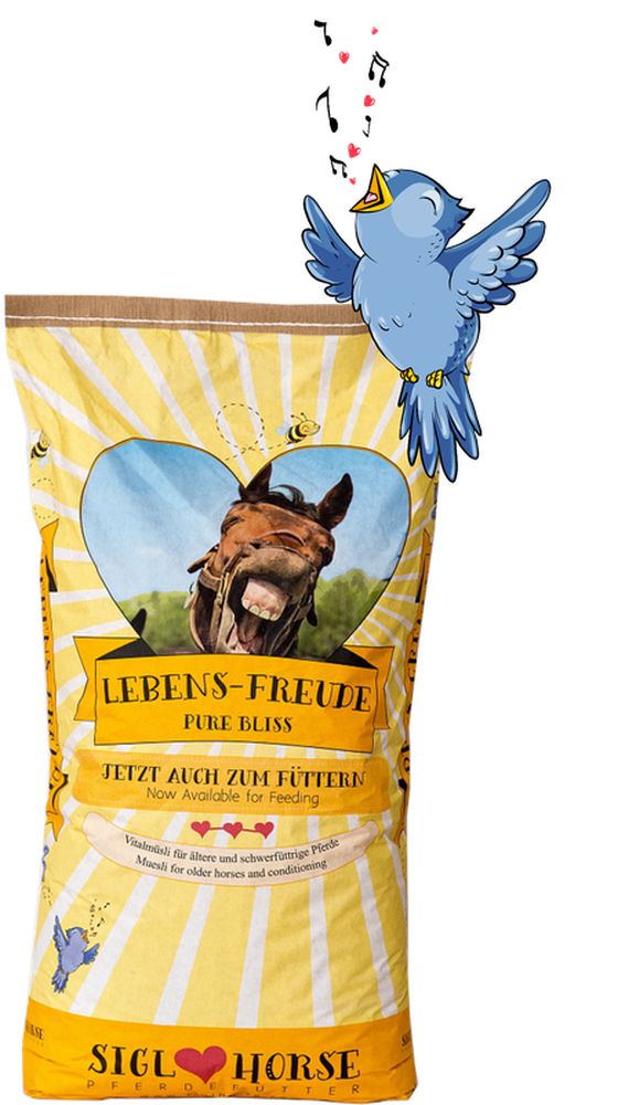 SIGLHORSE LEBENS-FREUDE