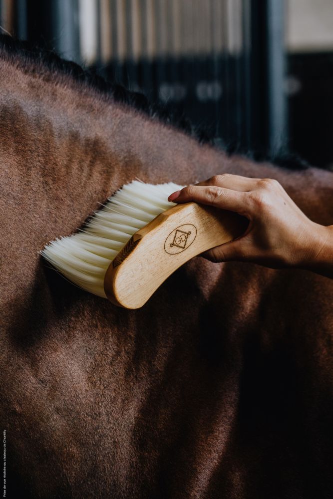 KENTUCKY® GROOMING DELUXE Middle Brush Long, natur