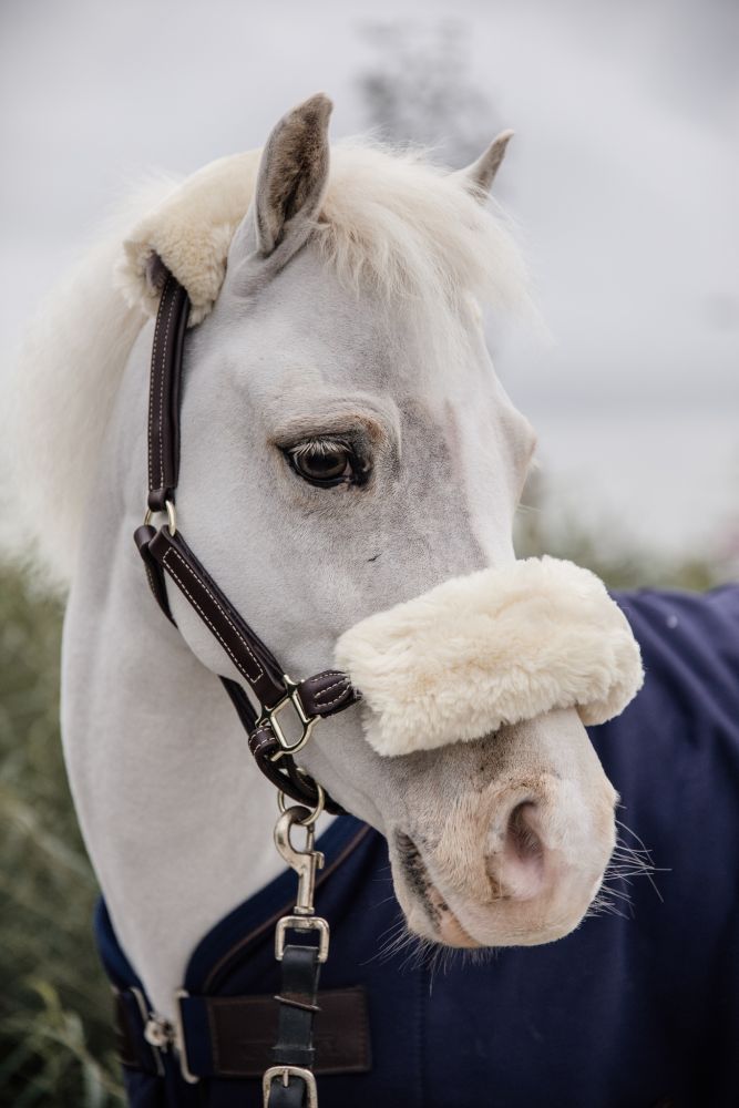 KENTUCKY® HORSEWEAR Pony-Lederhalfter mit Schaffell
