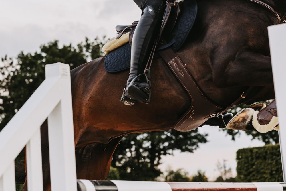 KENTUCKY® HORSEWEAR Stollengurt, braun