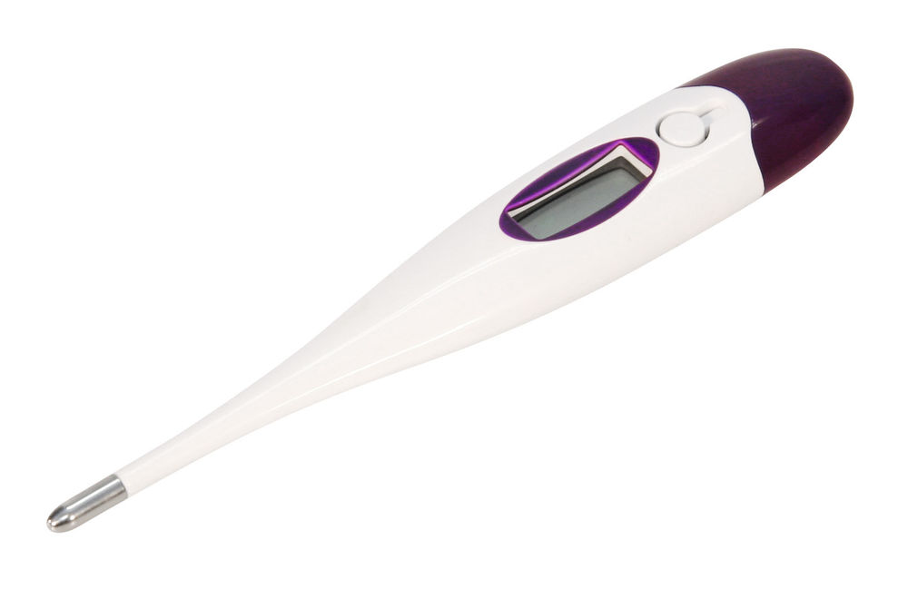 KERBL Digitales Fieberthermometer 