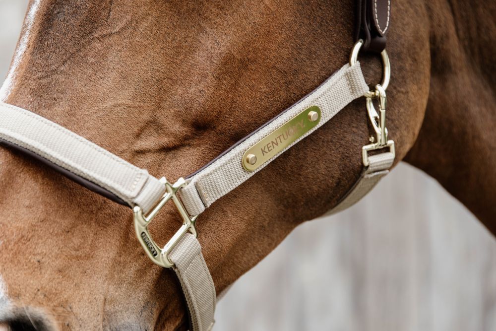 KENTUCKY® HORSEWEAR Anatomic Nylon Halfter, beige