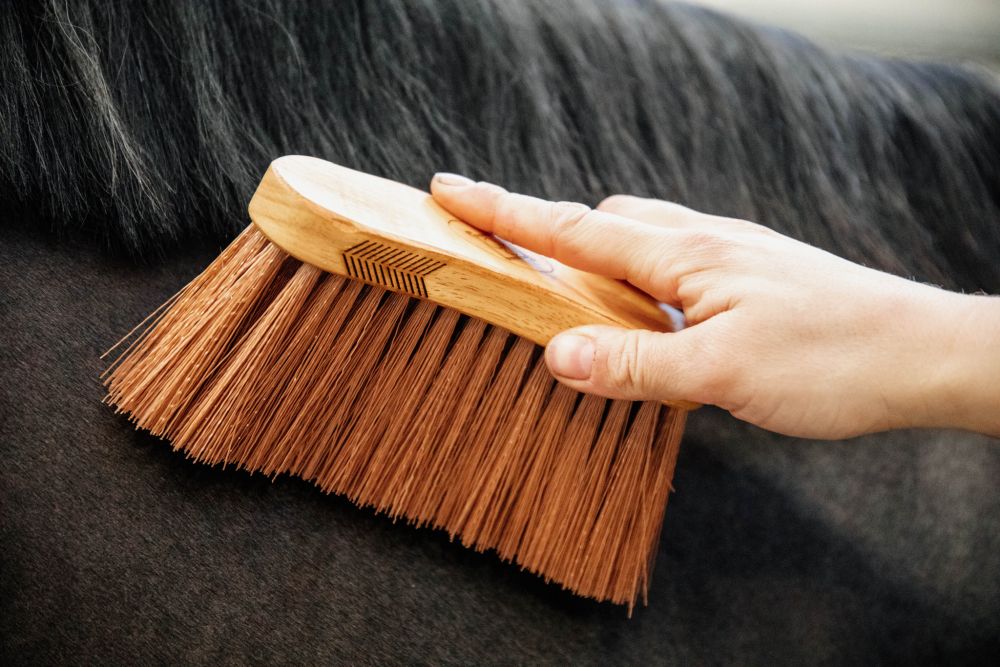 KENTUCKY® GROOMING DELUXE Middle Brush Medium