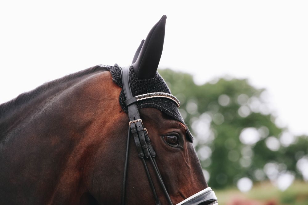 KENTUCKY® HORSEWEAR Fliegenhaube Wellington Sparkling, schwarz