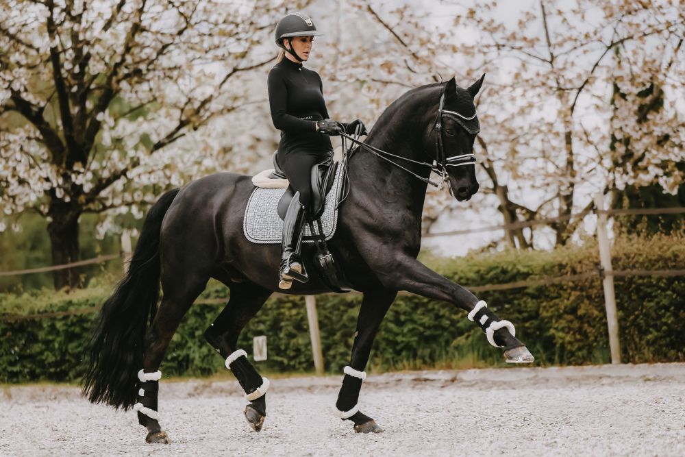 KENTUCKY® HORSEWEAR Arbeitsgamasche Air, schwarz 