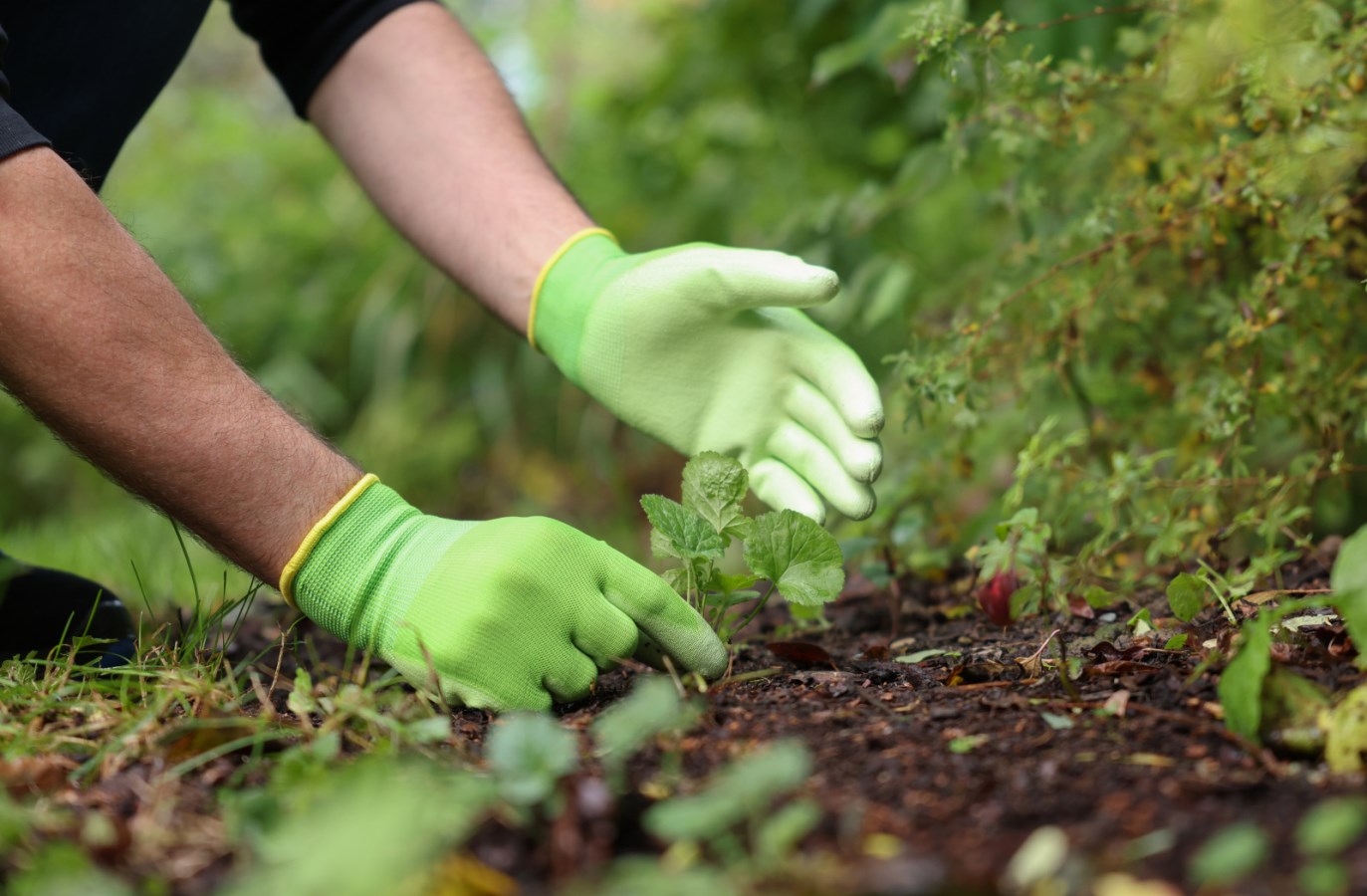 KERBL Gartenhandschuh Easy Garden