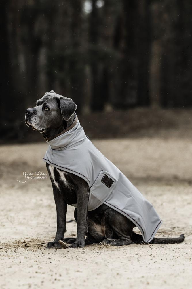 KENTUCKY® DOGWEAR Hunderegenjacke, dusty blue