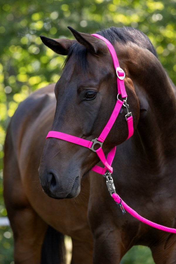 KERBL Nylonhalfter Hippo, pink